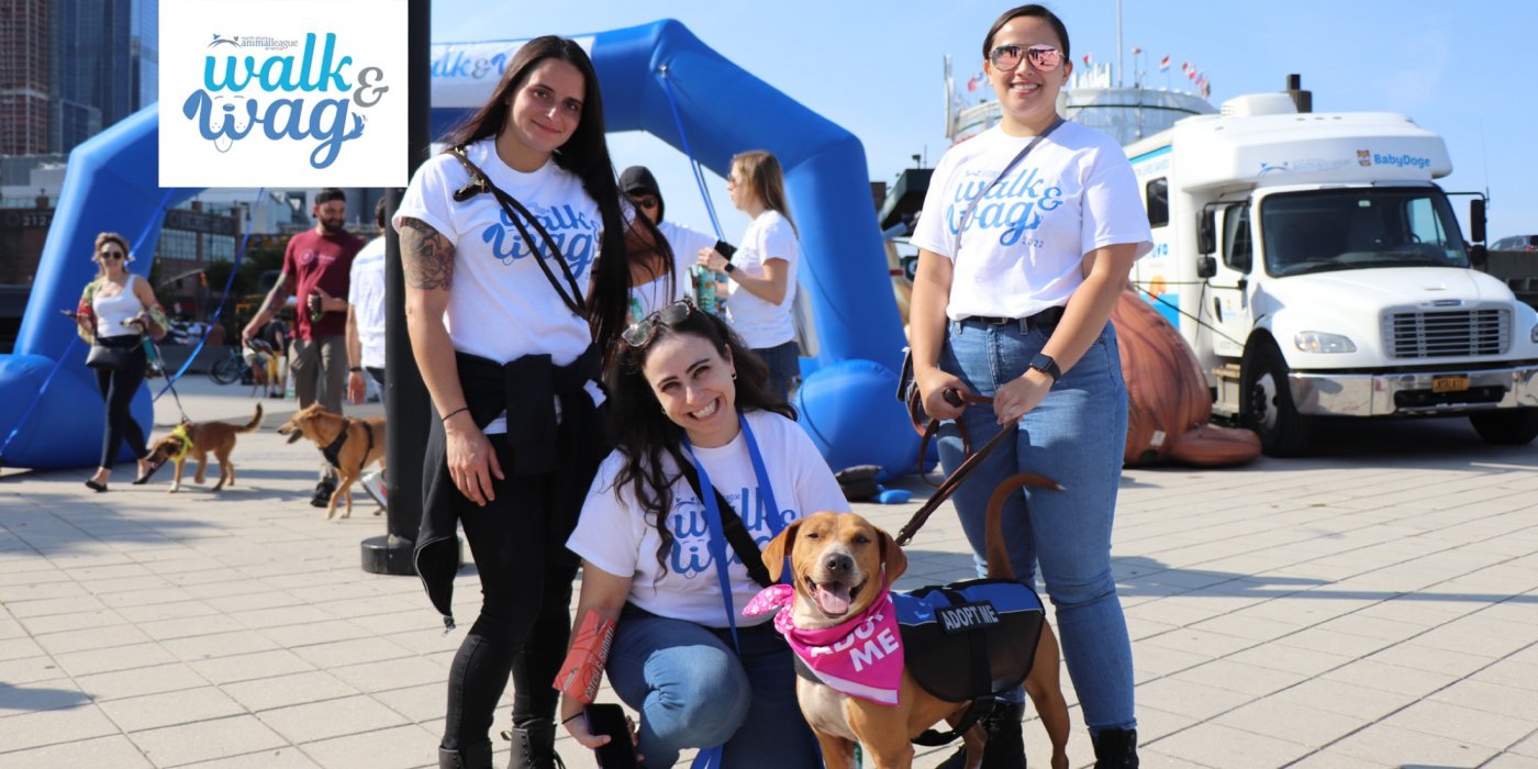 North Shore Animal League America - Walk and Wag