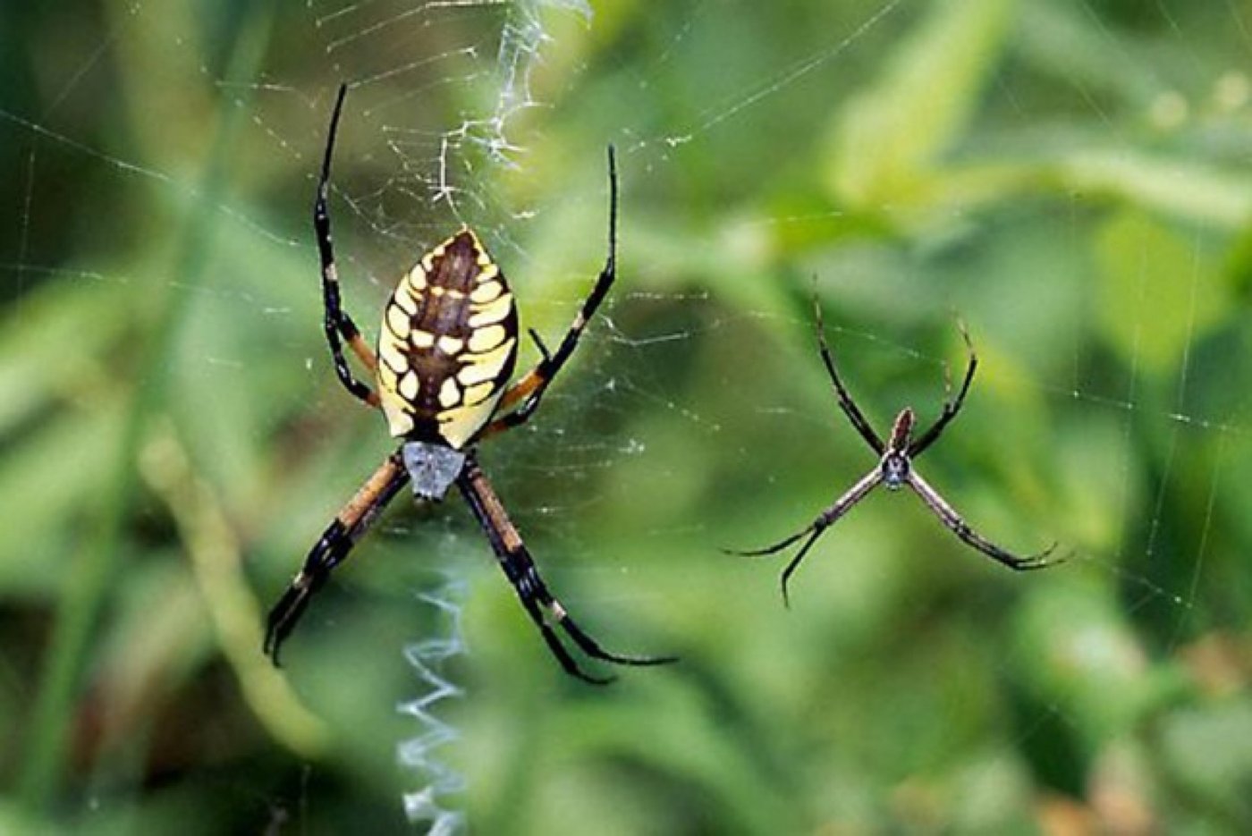 Nature Collective Hosts Wildlife Tour