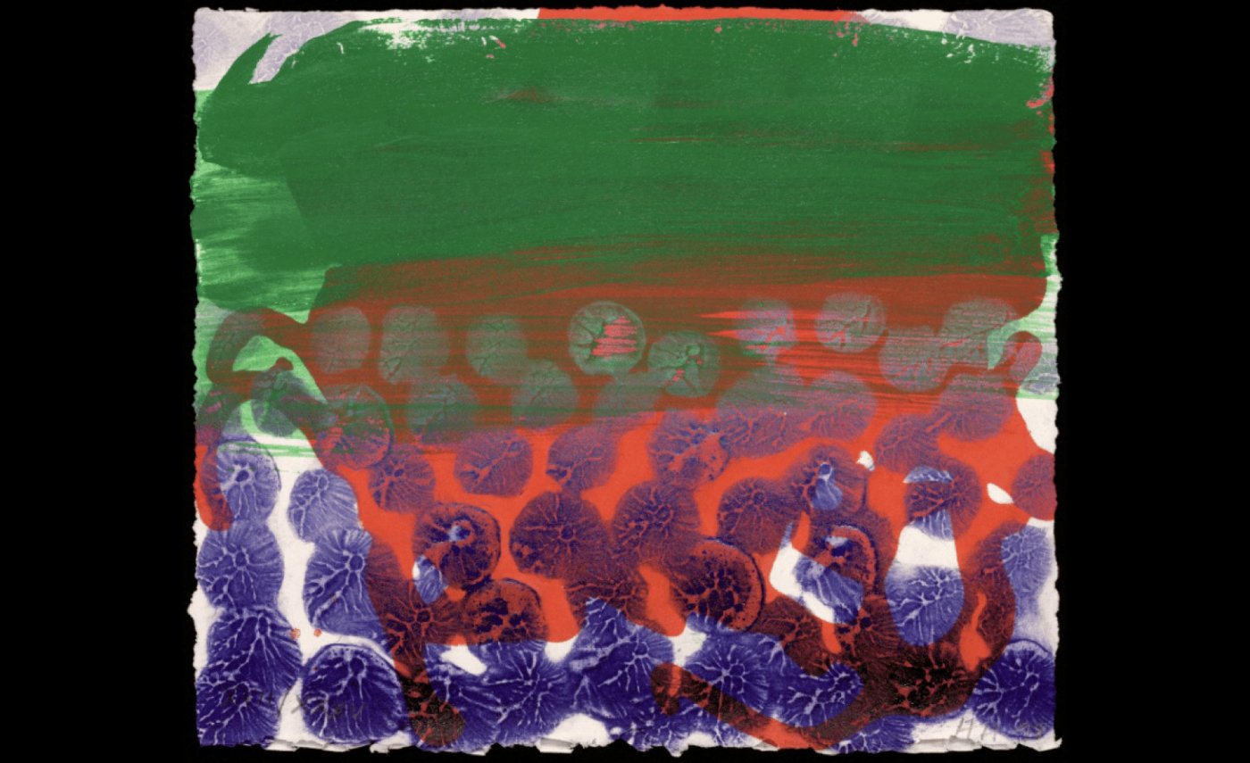 Howard Hodgkin: In a Public Garden