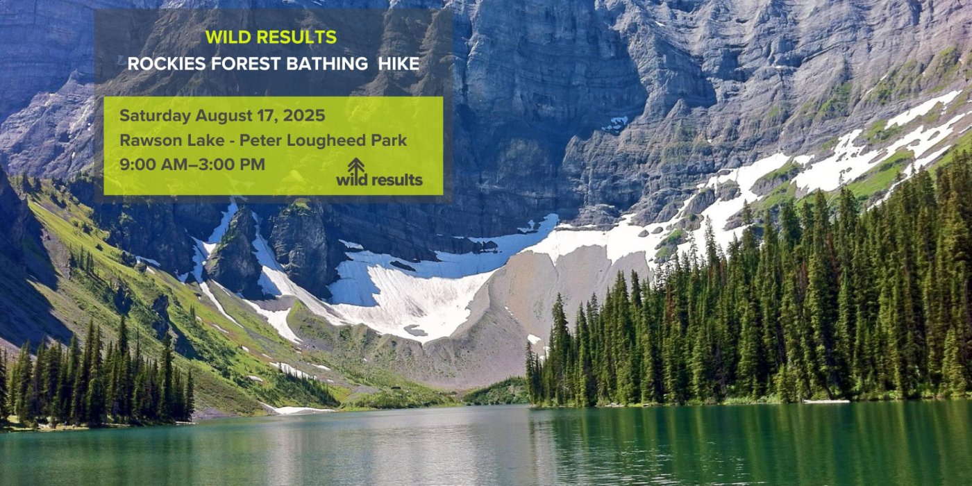 ROCKIES FOREST BATHING HIKE