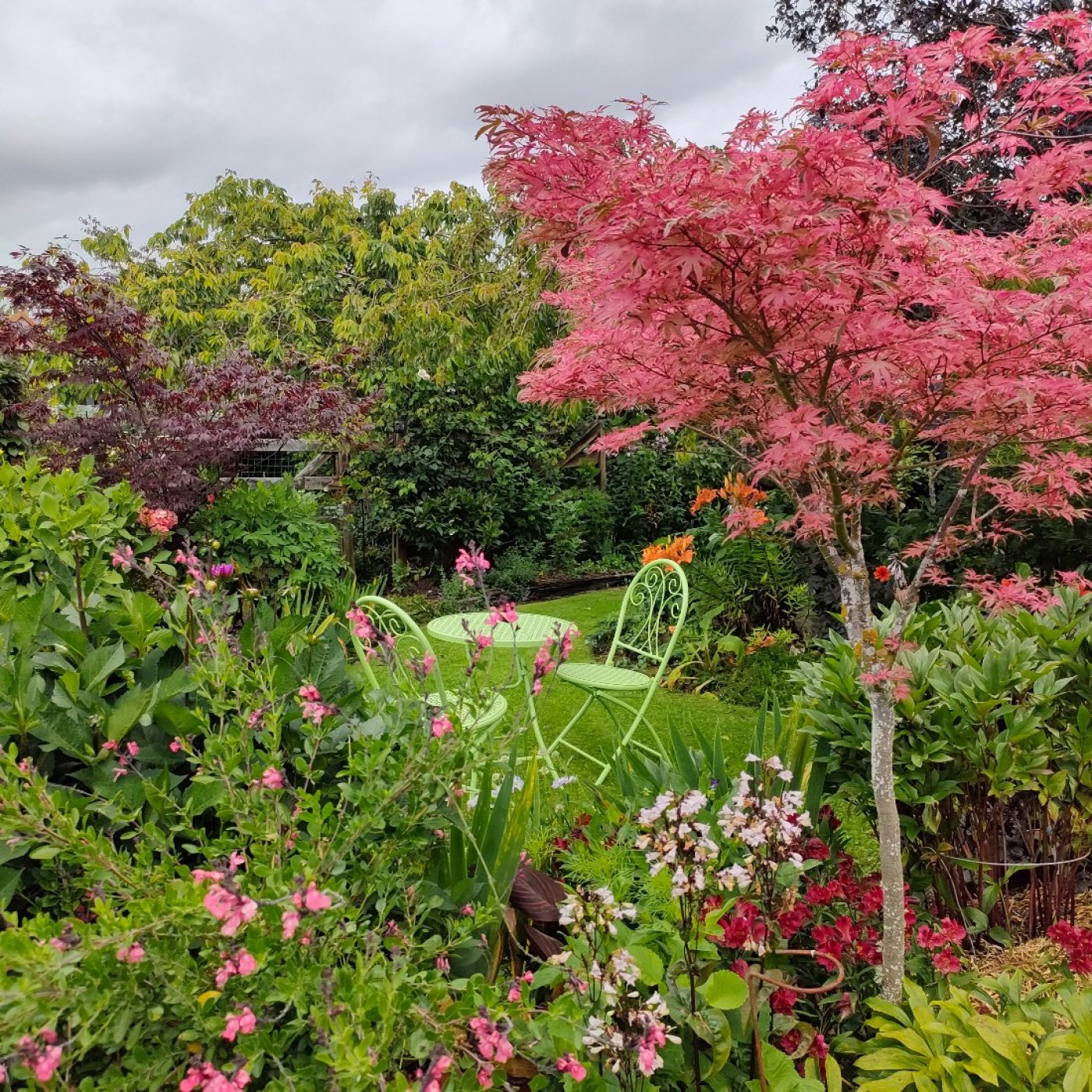 Gore A & P Beyond the gate garden tour & market day