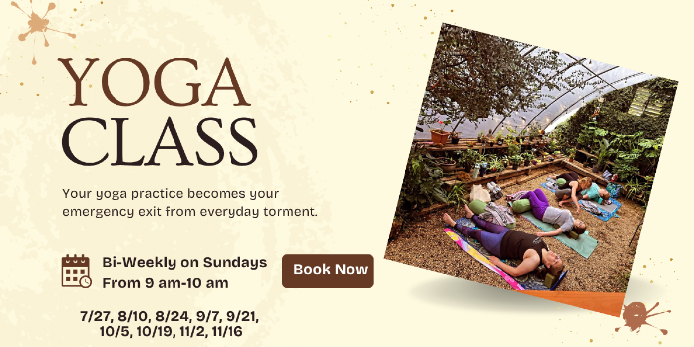 Yin Yoga with Maria