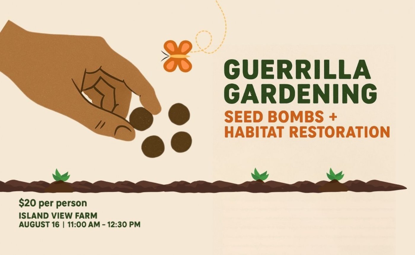 Guerrilla Gardening: Seed Bombs & Habitat Restoration Workshop