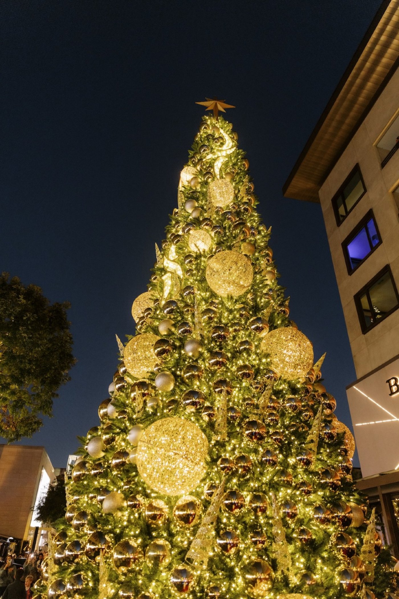 Holiday Tree Lighting at River Oaks District
