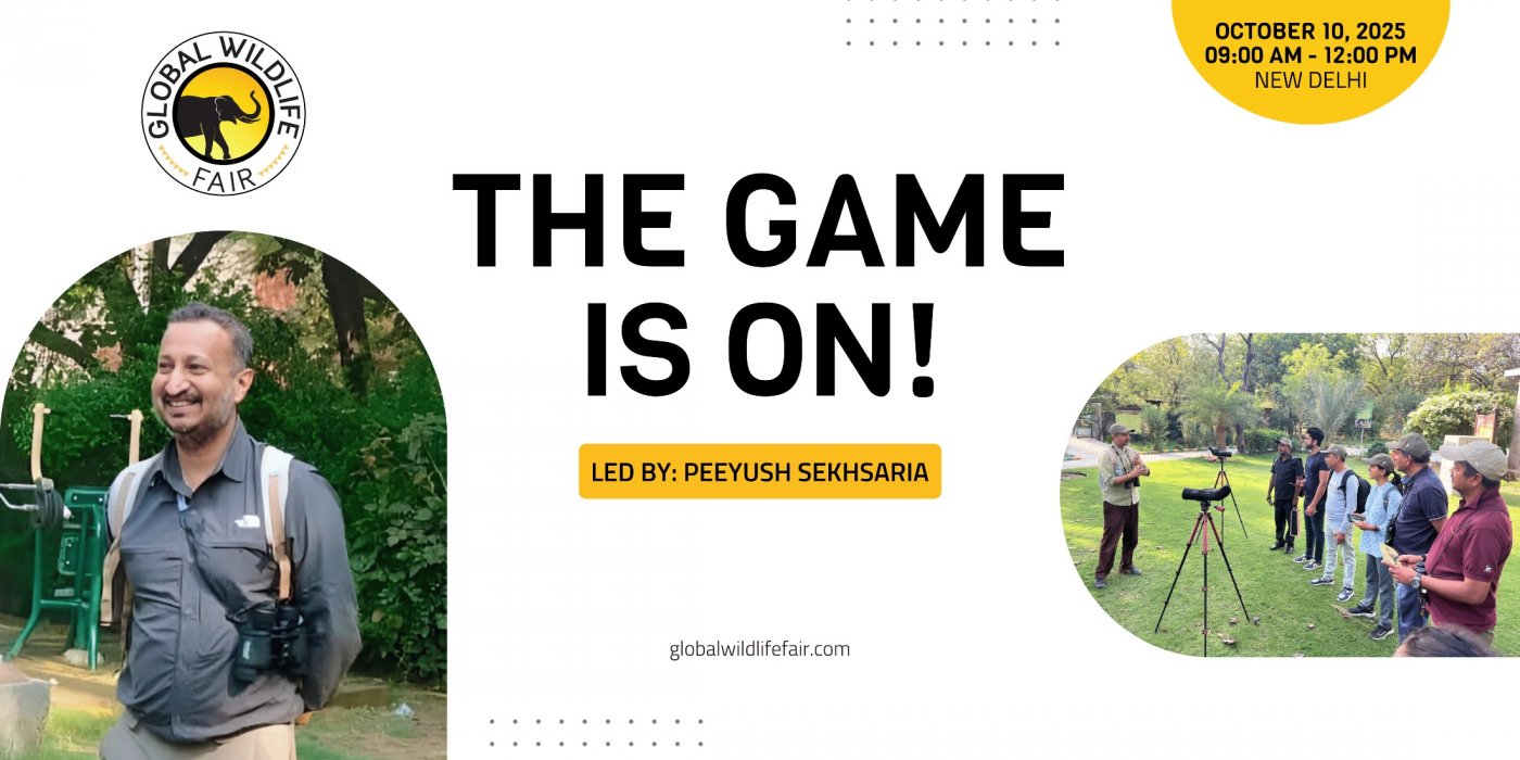 The Game is ON!