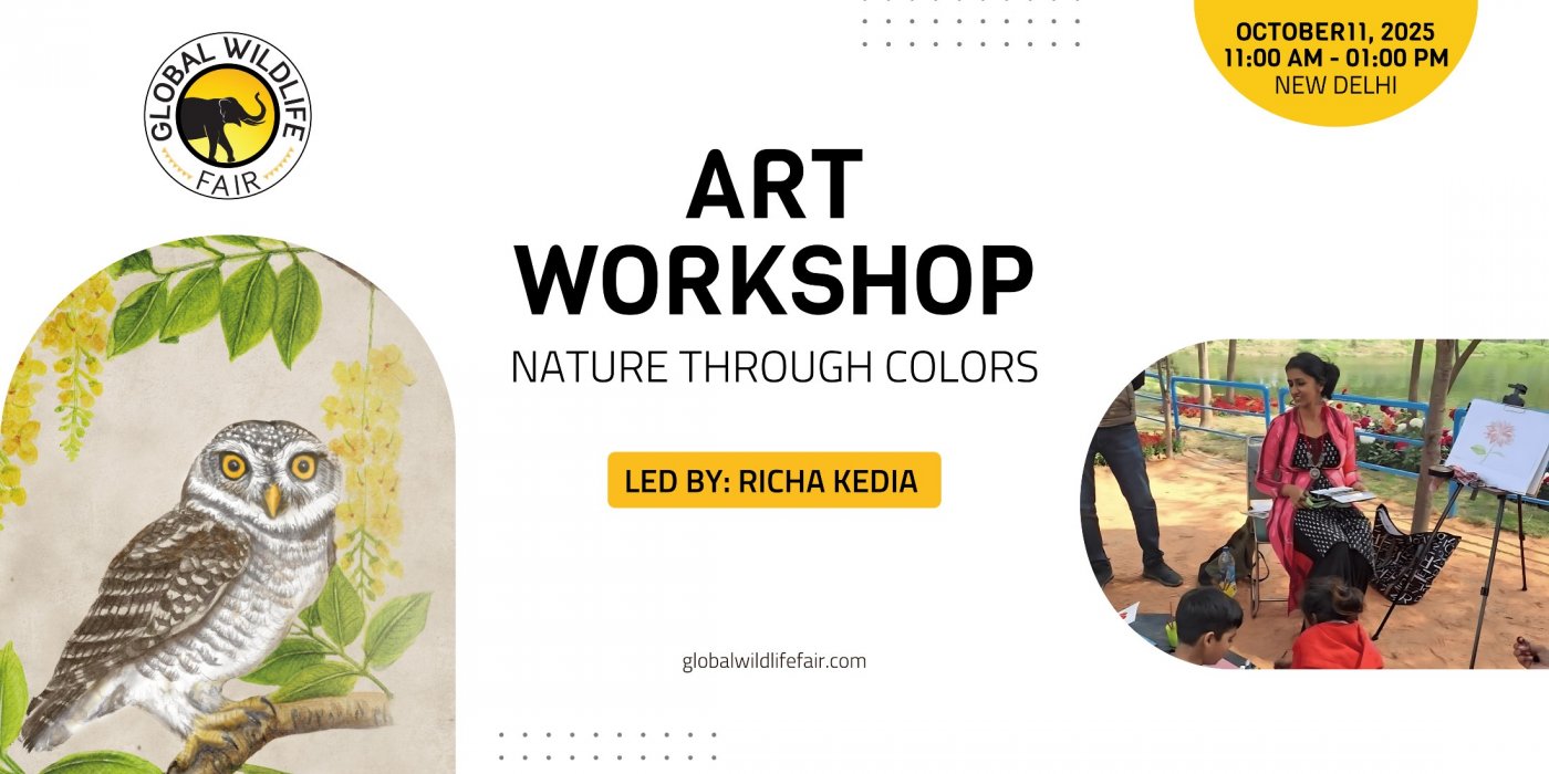 Reconnect with Nature Through Art