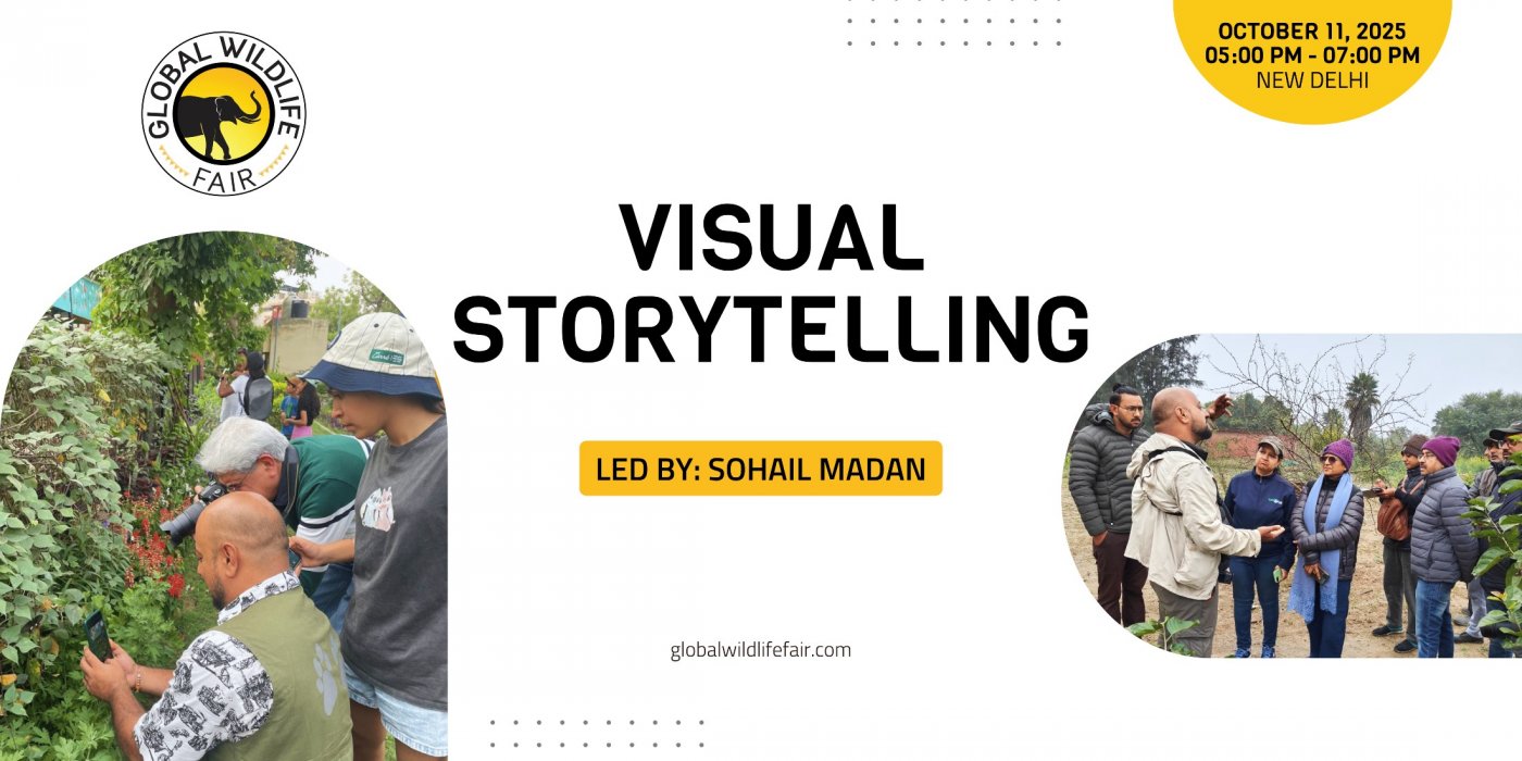 Visual storytelling (Workshop)