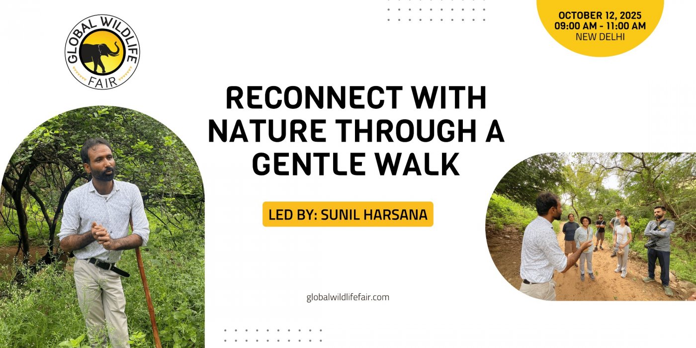 Reconnect with Nature Through a Gentle Walk