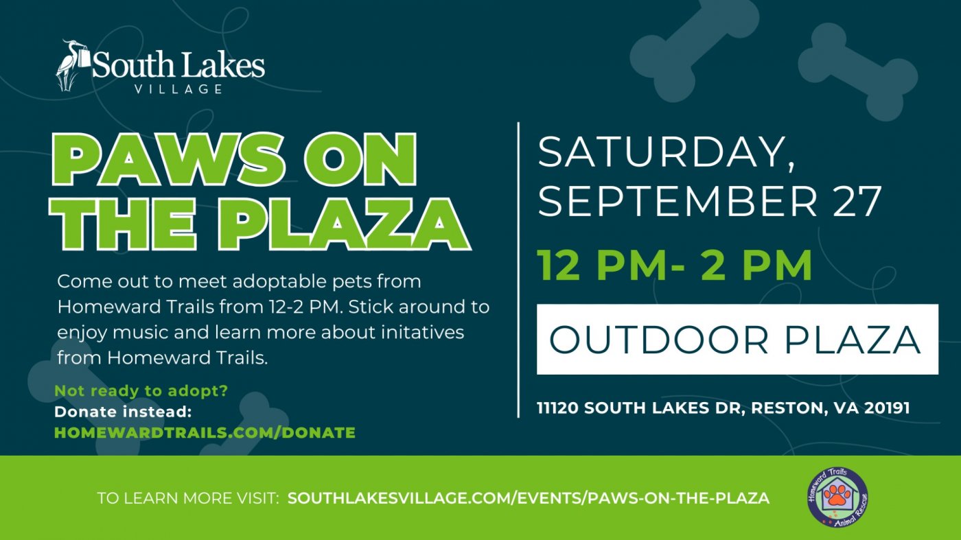 Paws on the Plaza Pet Adoption