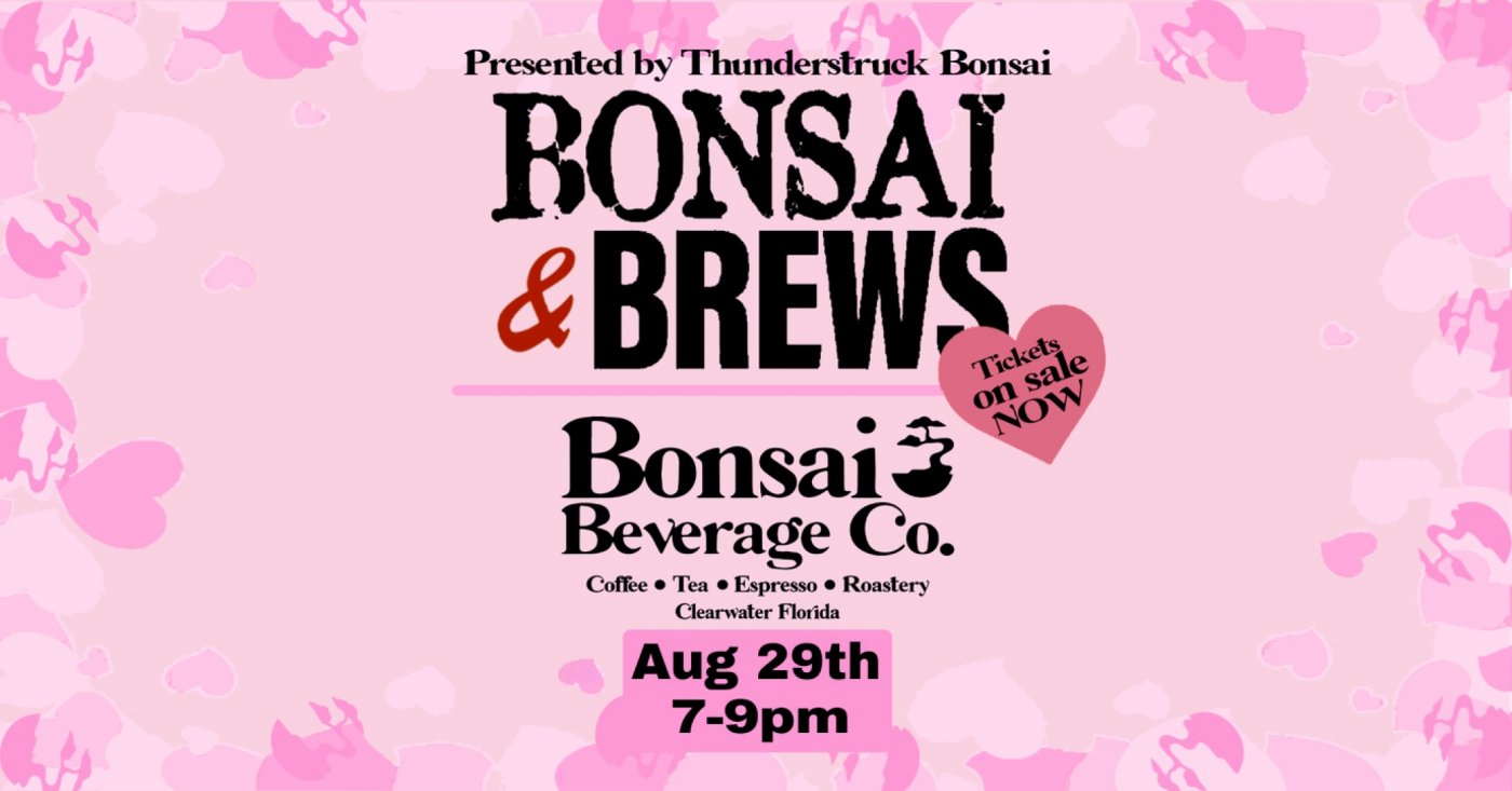 Bonsai &amp; Brews at Bonsai Beverage Co.