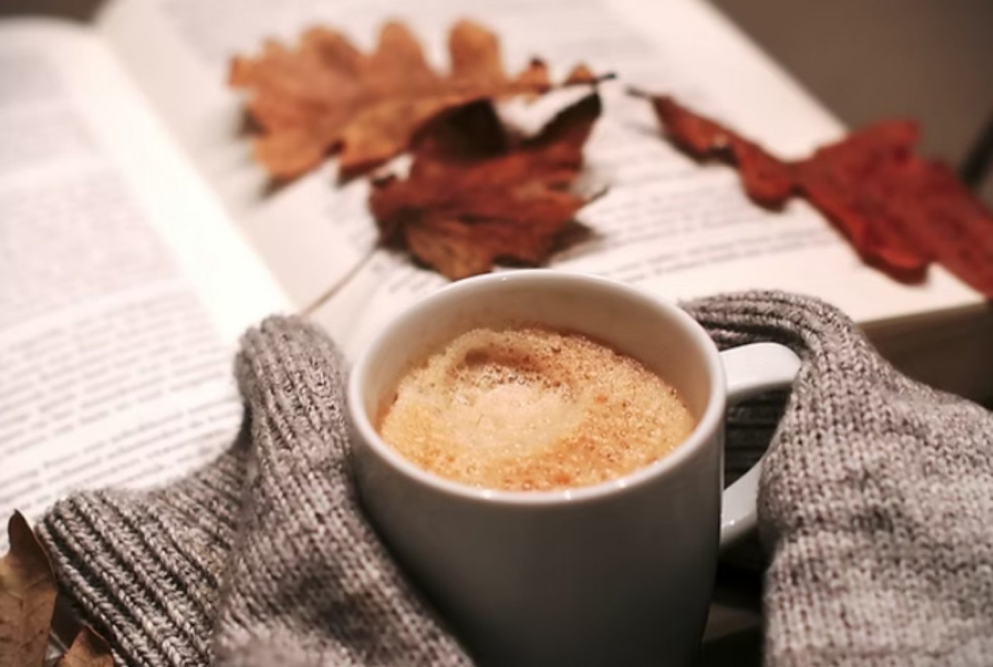 MRKT - The Autumn Edit