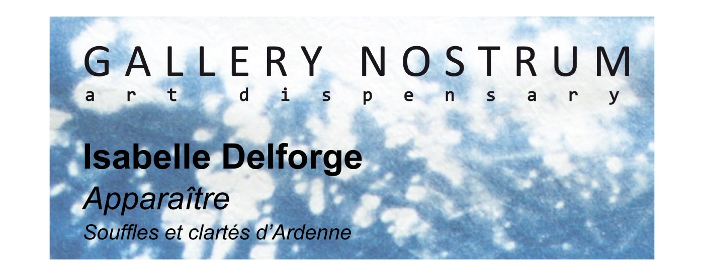 Vernissage - Isabelle Delforge, Appara\u00eetre - (Souffles et clart\u00e9s d\u2019Ardenne)