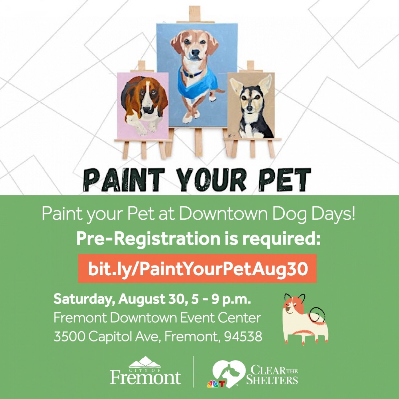 Paint Your Pet Class