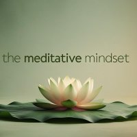 The Meditative Mindset