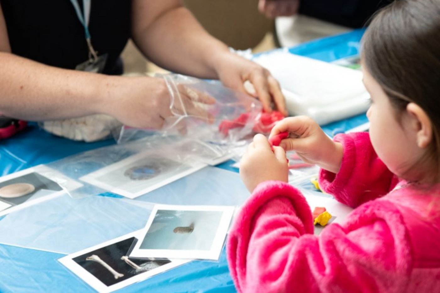 Sensory-Friendly Family Morning at Mount Vernon