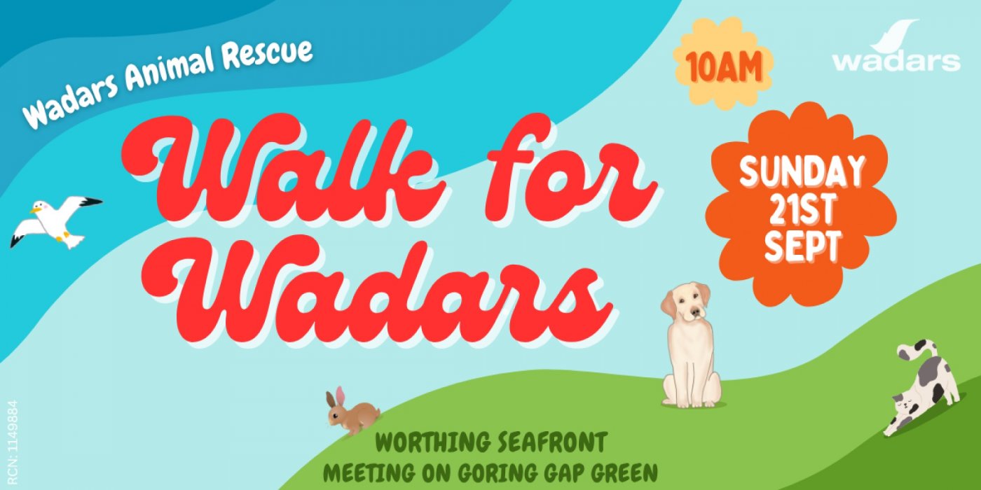 Walk for Wadars