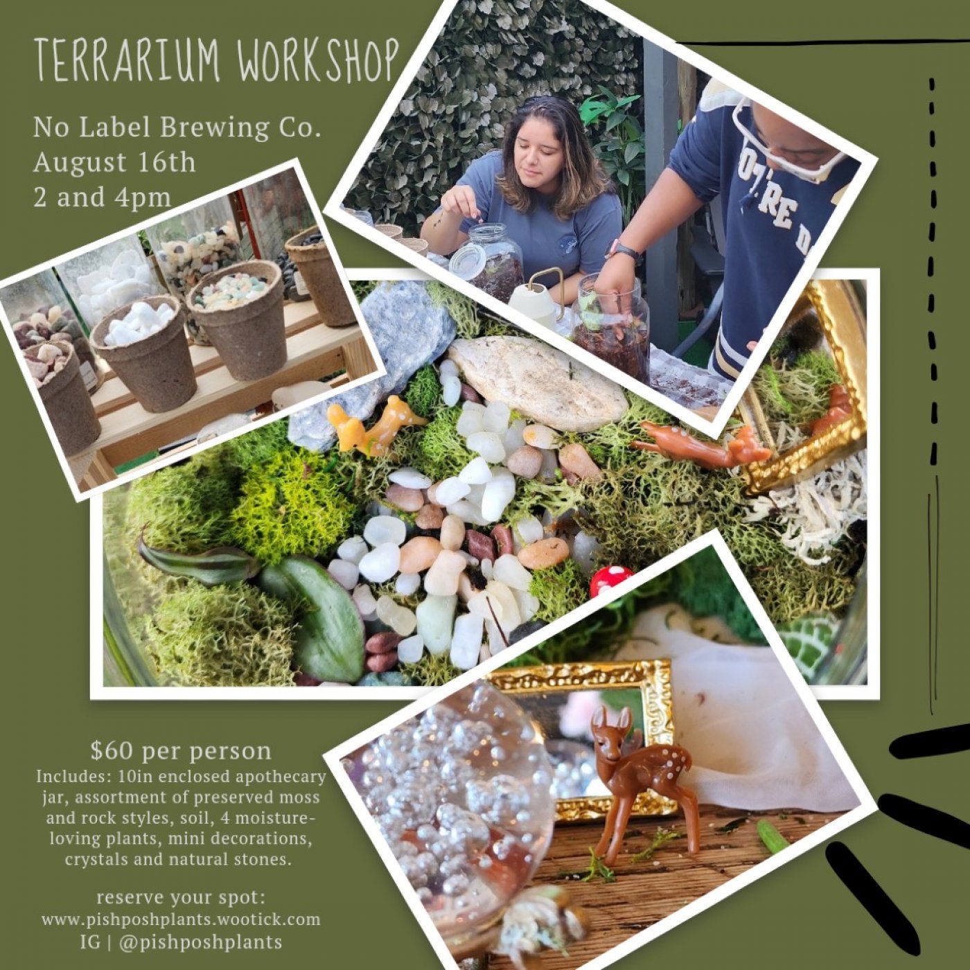 Create your own Terrarium \ud83c\udf31\u2728\ufe0f
