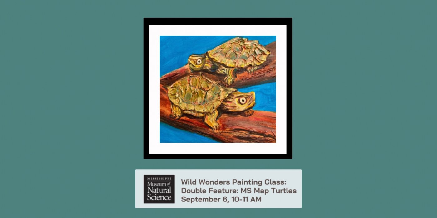 Wild Wonders Painting Class: Double Feature MS Map Turtles