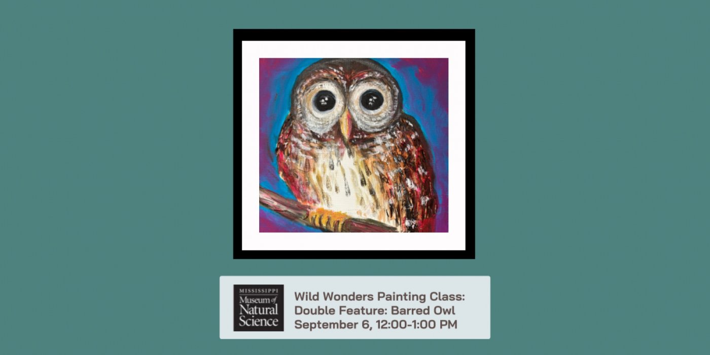 Wild Wonders Painting Class: Double Feature Barred Owl