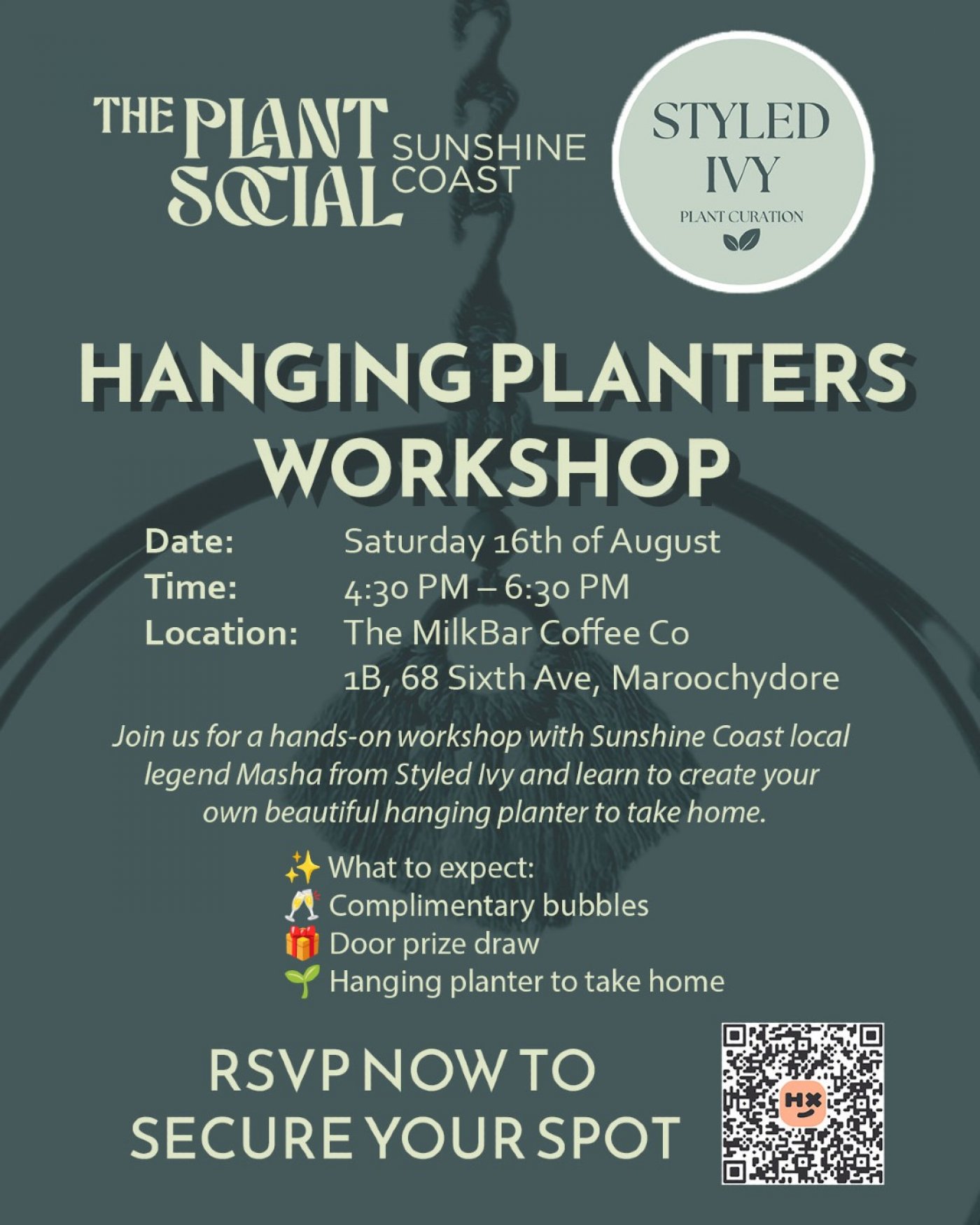 The Plant Social - Hanging Planter Workshop