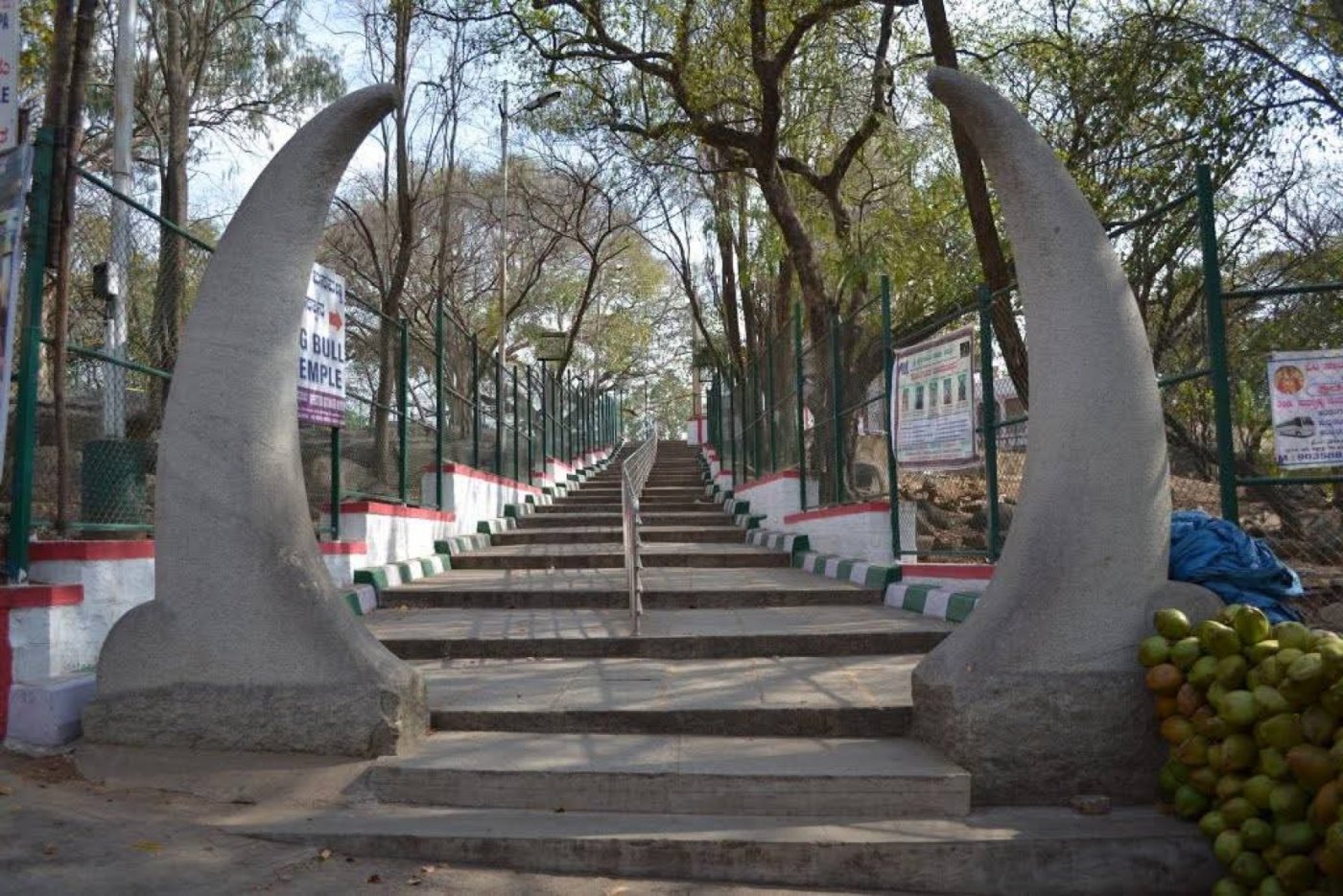 Basavanagudi darshan heritage walk.
