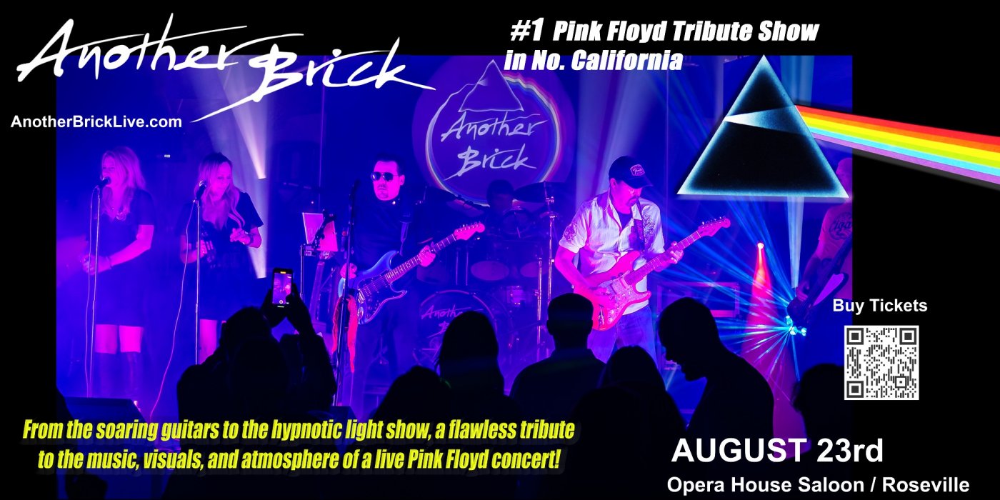 Another Brick ~ Pink Floyd Tribute Band