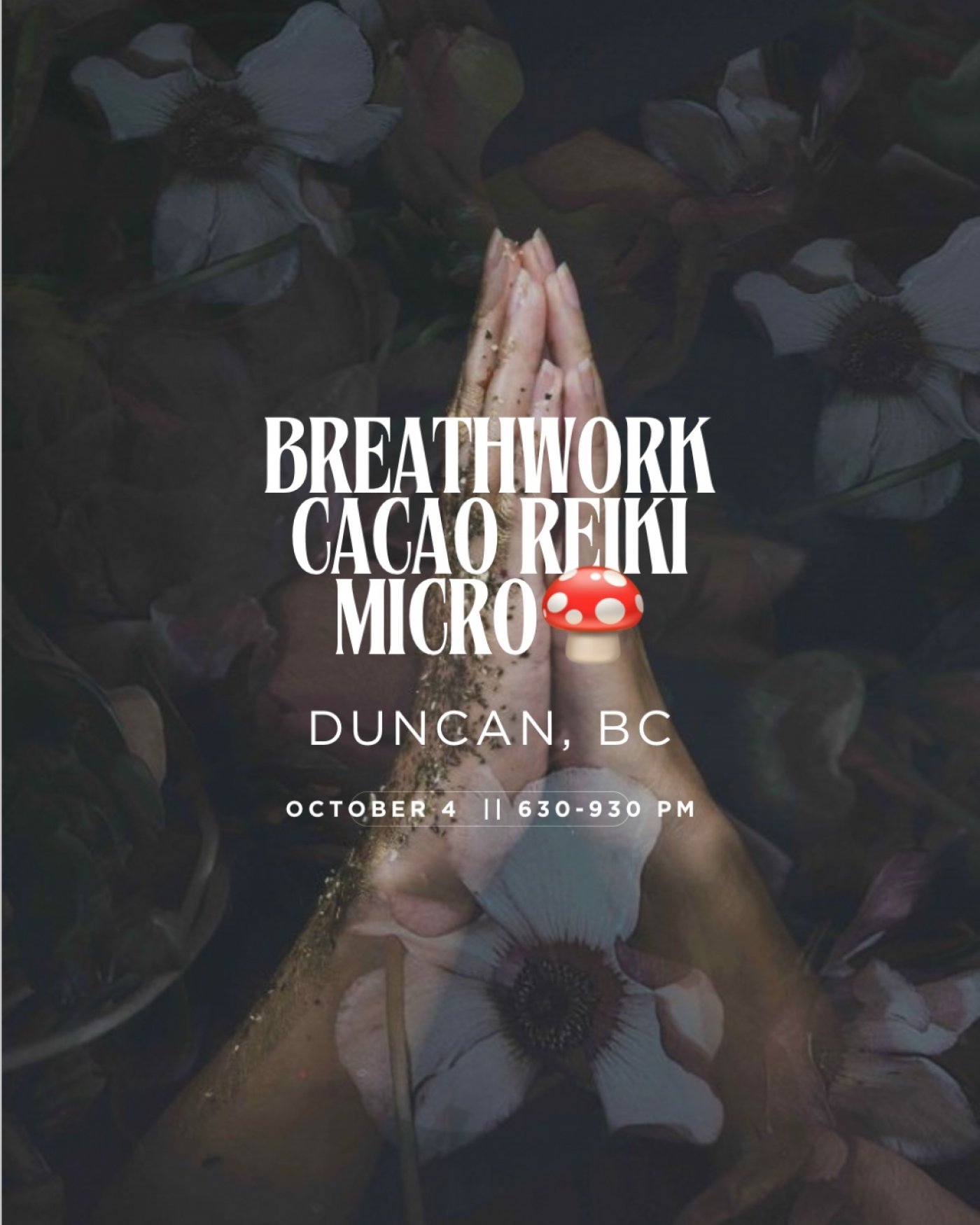 Breathwork Cacao Micro\ud83c\udf44 & Reiki Duncan