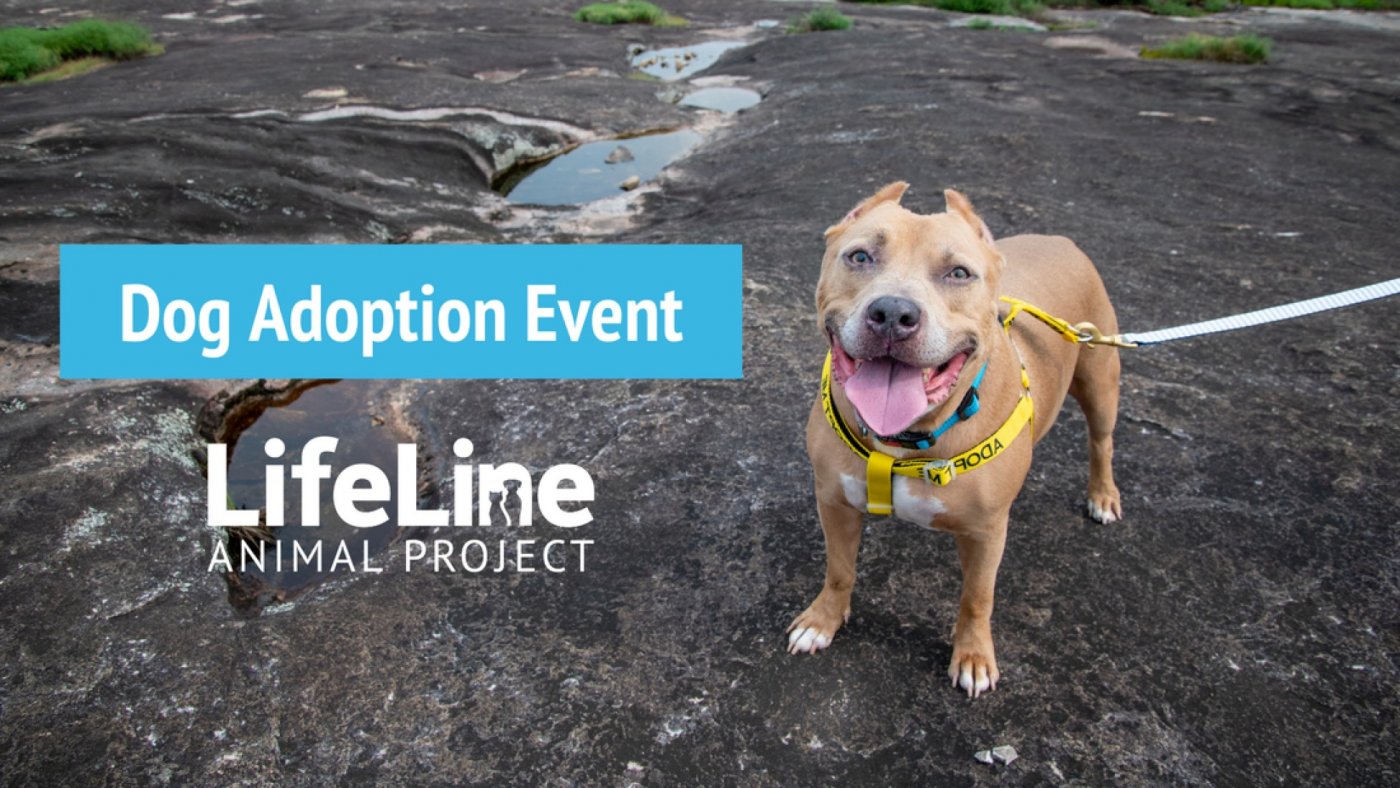 Moondog Pub & Grub Dog Adoption Event