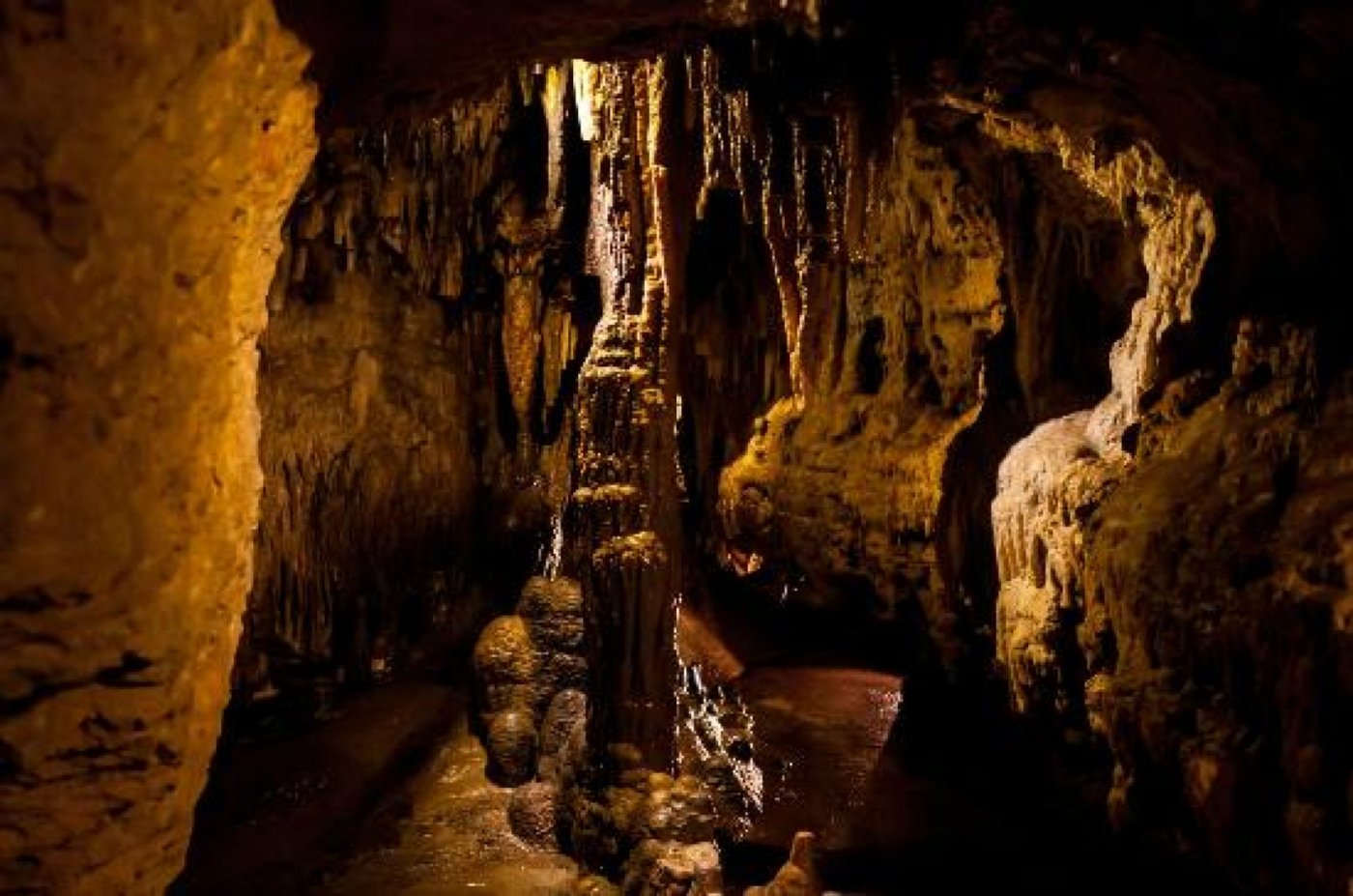 Cave Of The Mounds Bus Trip\/Tour