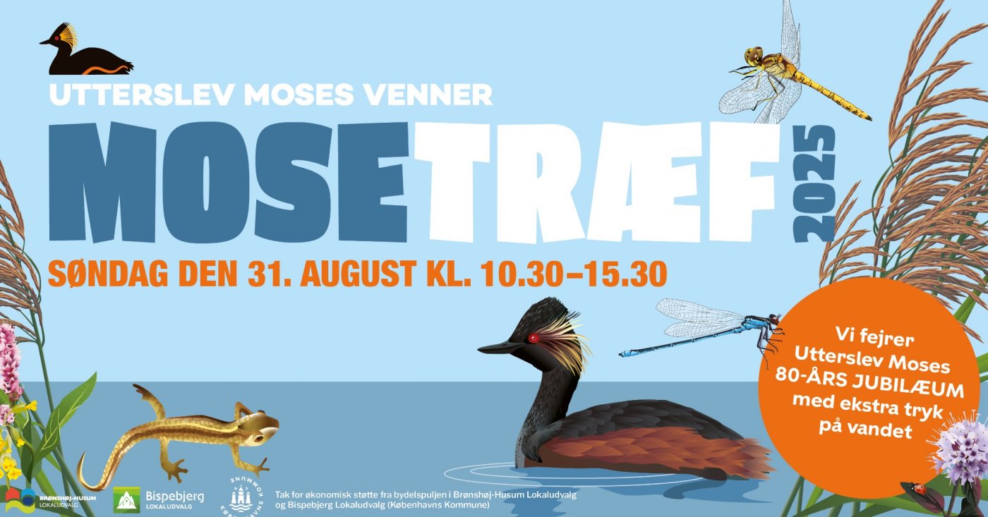 Mosetr\u00e6f 2025 - Big free admission event with lots of fun activities for children in Utterslev Mose