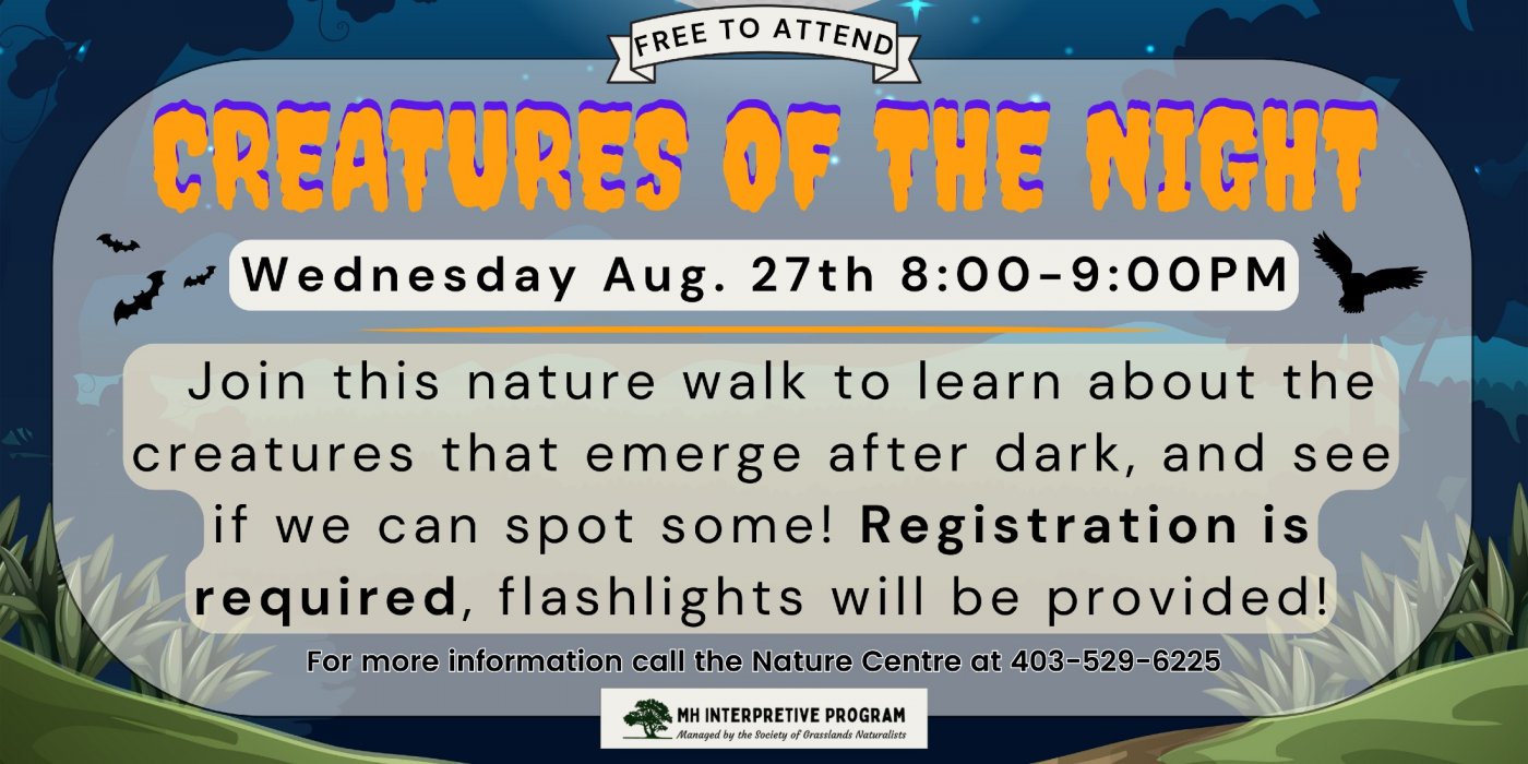 Creatures Of The Night-Nature Walk