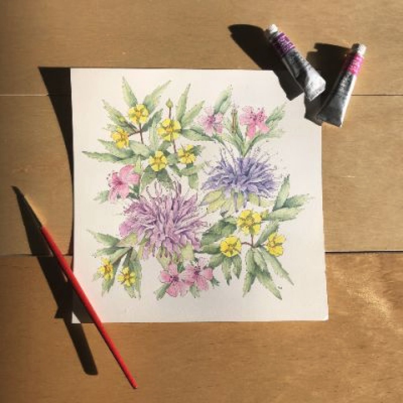 Botanical Artd & Illustration