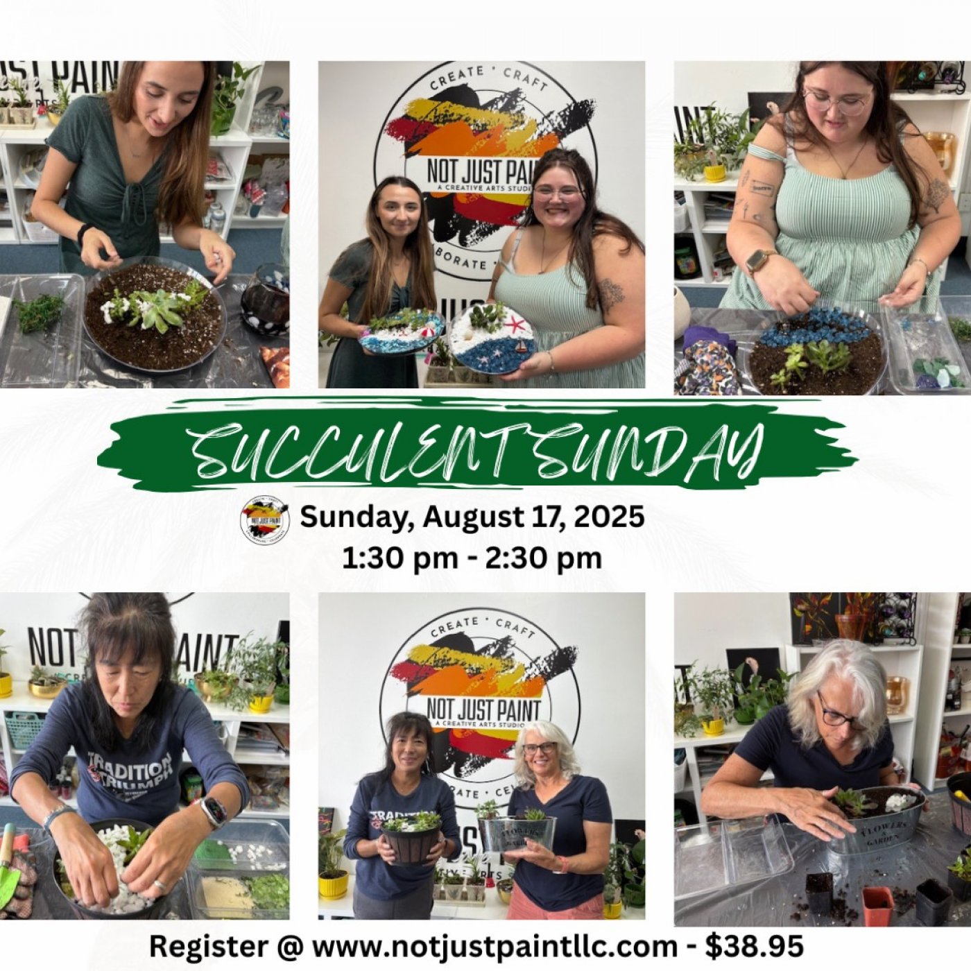 Succulent Plant Arrangments