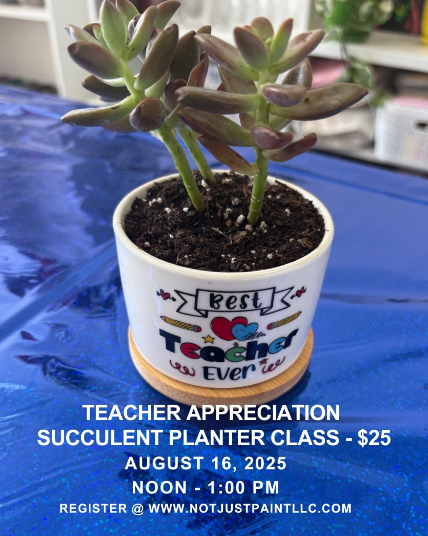 Back To School Teacher Succulent Planter Class