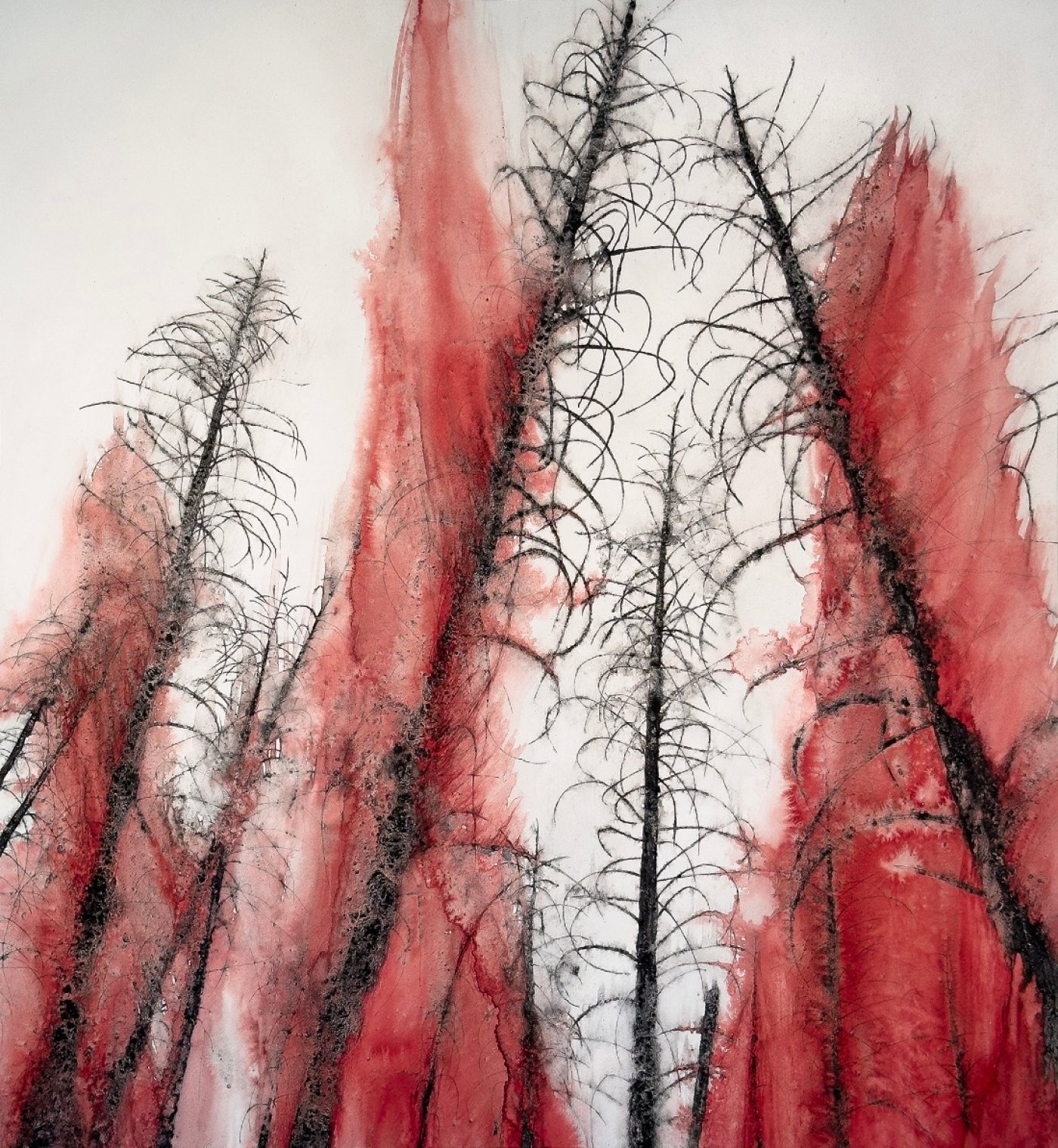 Catherine Chalmers - An Artist's Journey Into the Wild