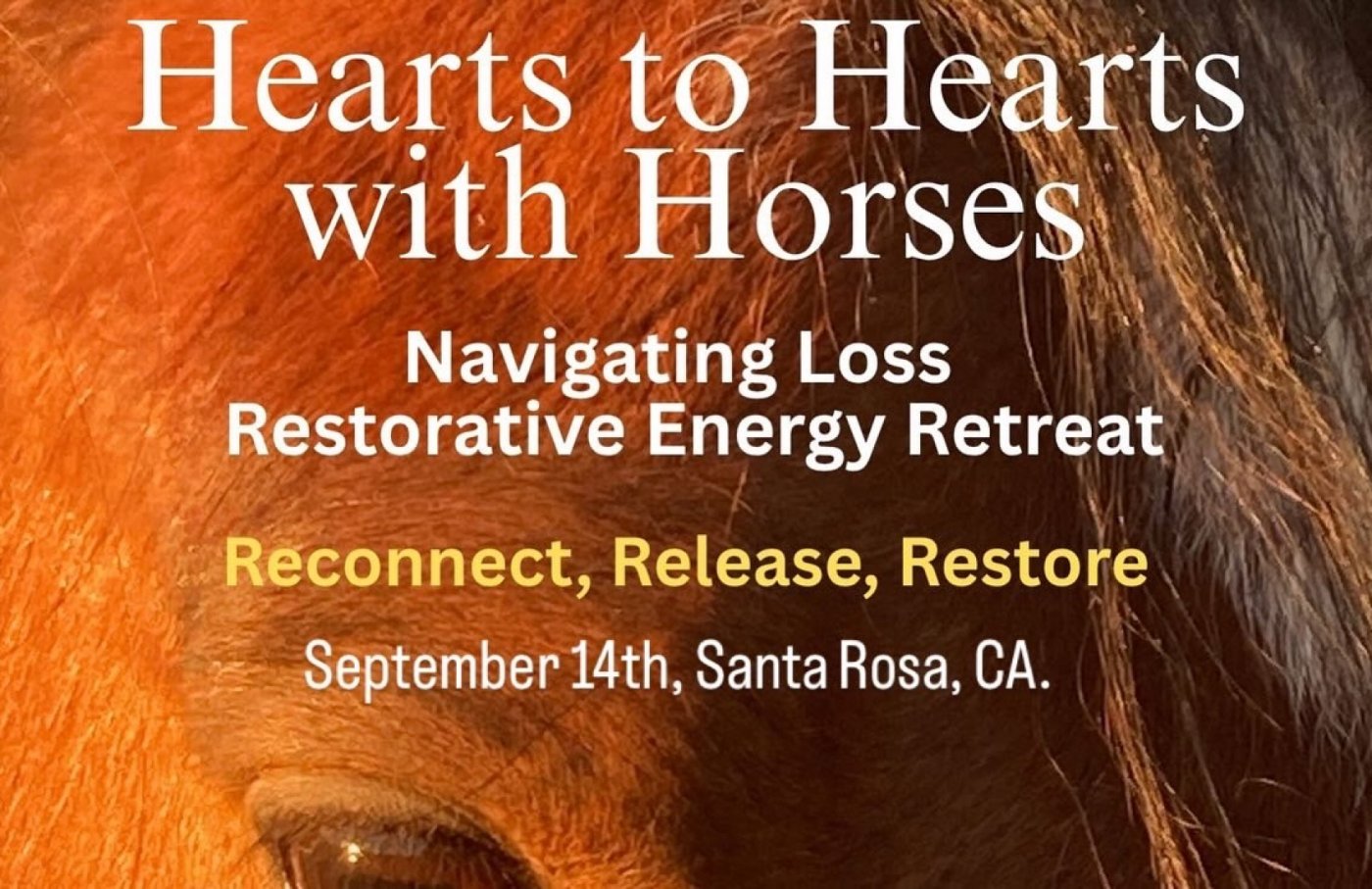 Navigating Loss: Restorative Energy Retreat