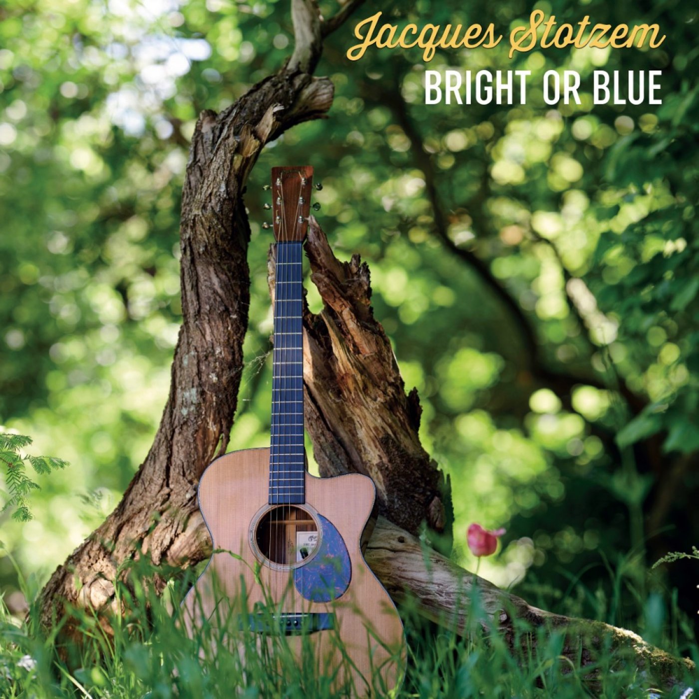 JACQUES STOTZEM : FINGERSTYLE WITH HEART AND SOUL