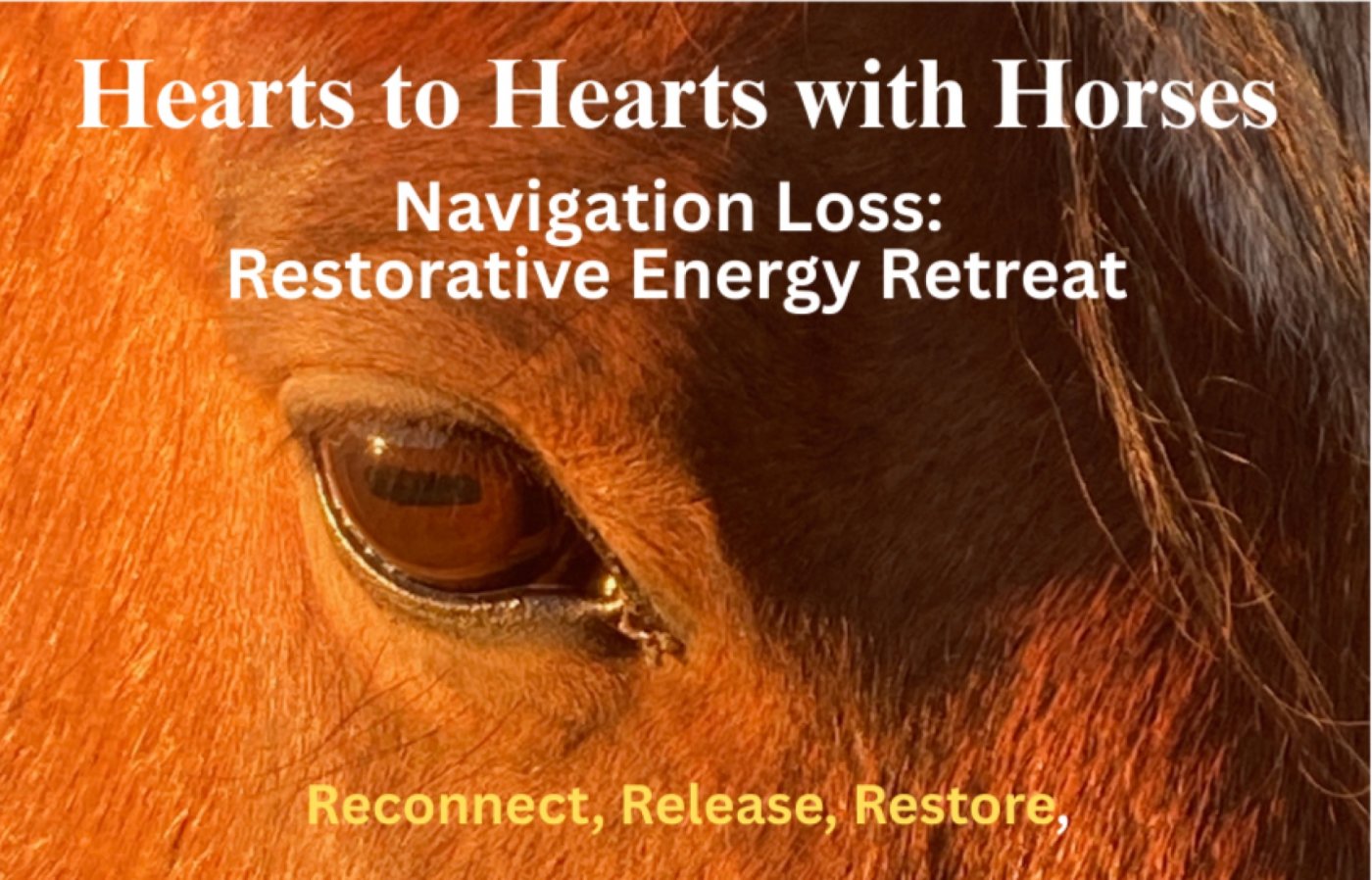 Navigating Loss: Restorative Energy Retreat
