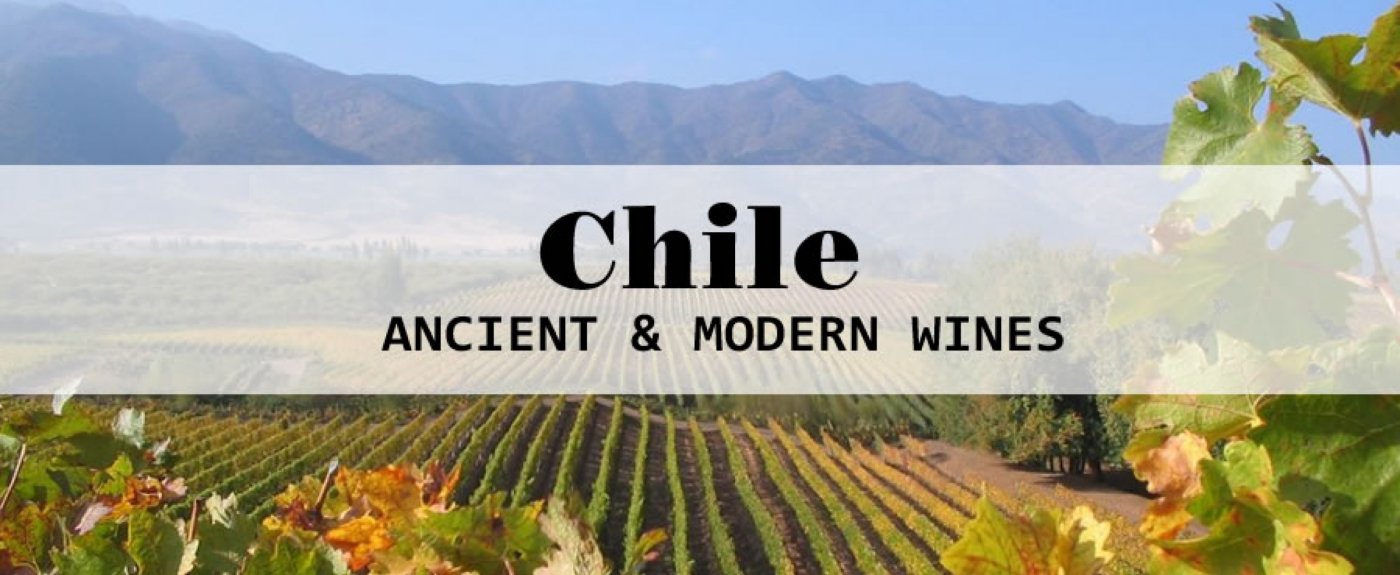 Chile: Ancient & Modern Wines