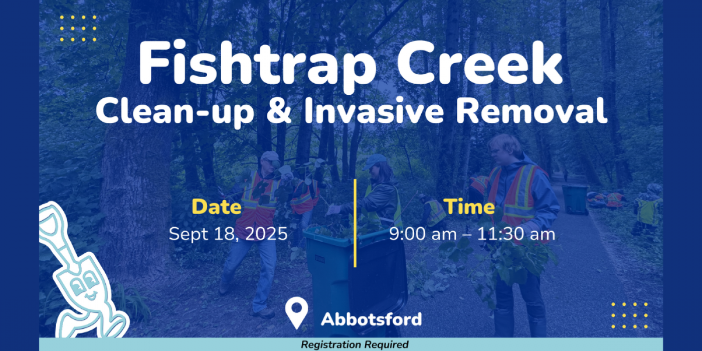 Fishtrap Creek: Clean-up & Invasive Removal
