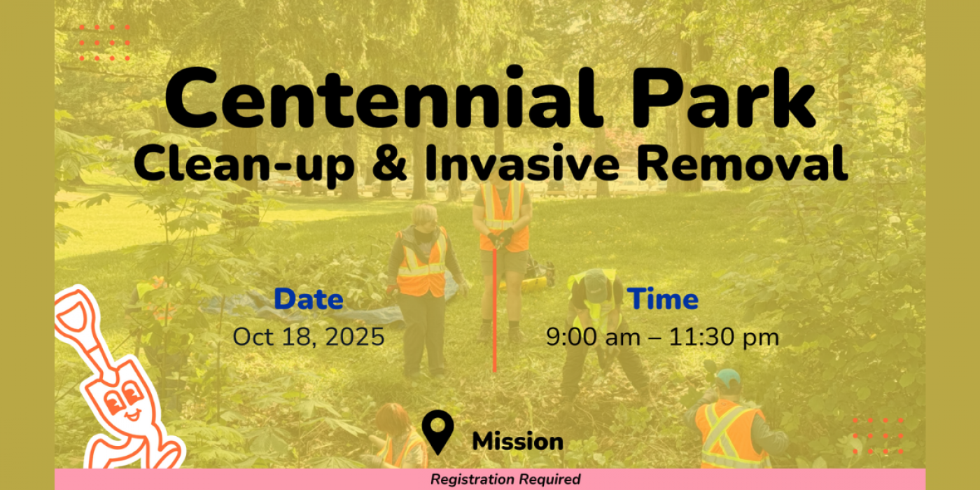 Centennial Park: Clean-up & Invasive Removal