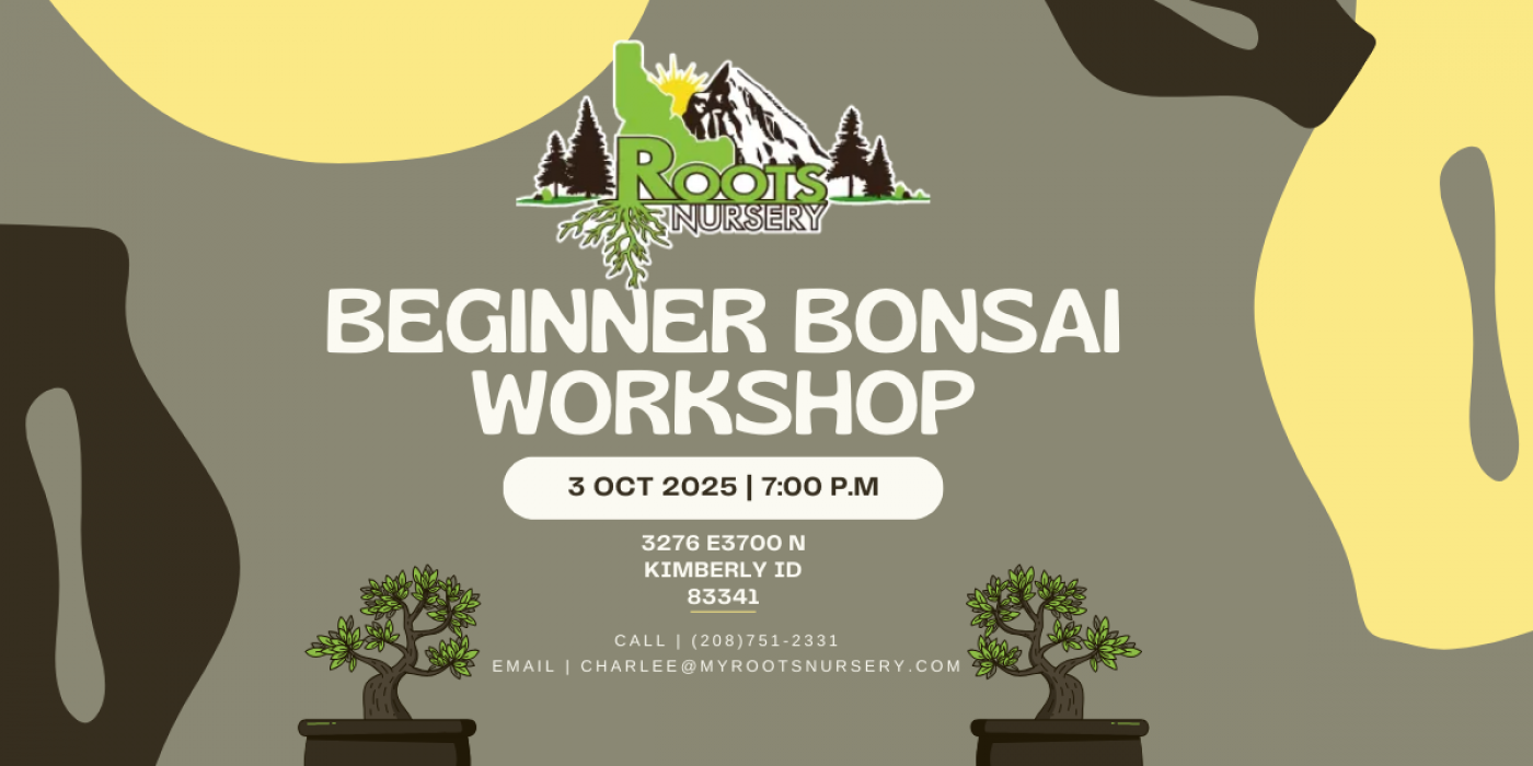 Beginner Bonsai Workshop