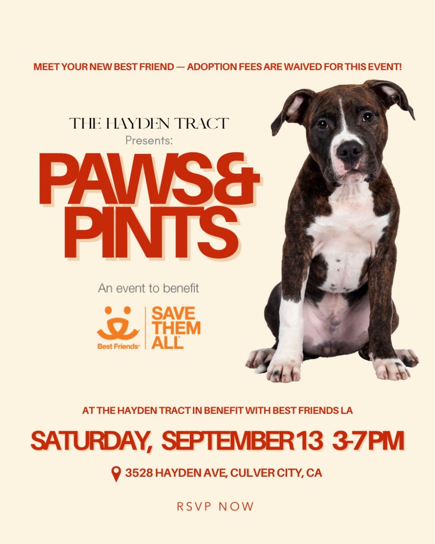 Paws & Pints