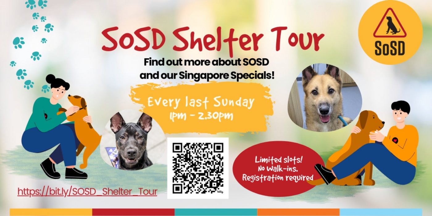 SOSD Shelter Tour