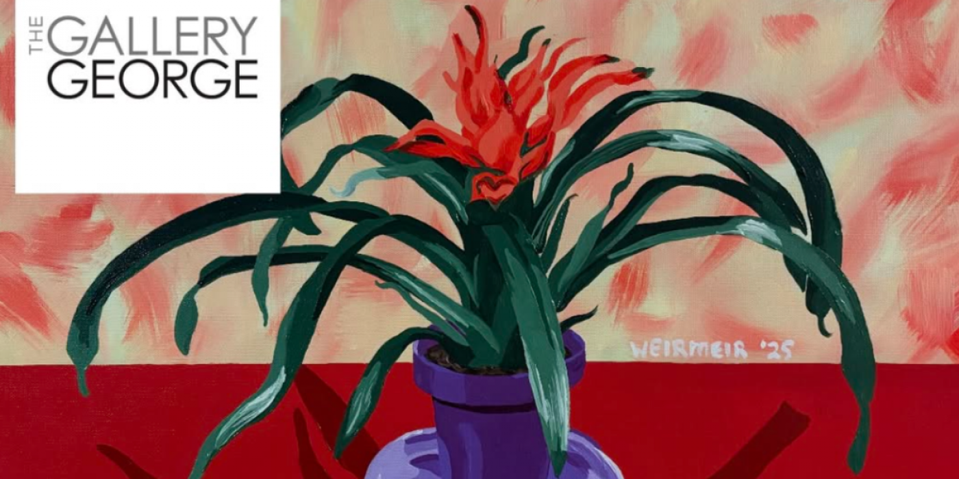 'STILLEVEN' a solo show by David Weirmeir