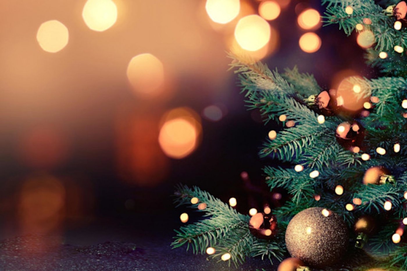 Waltham 3rd Annual Holiday Fair