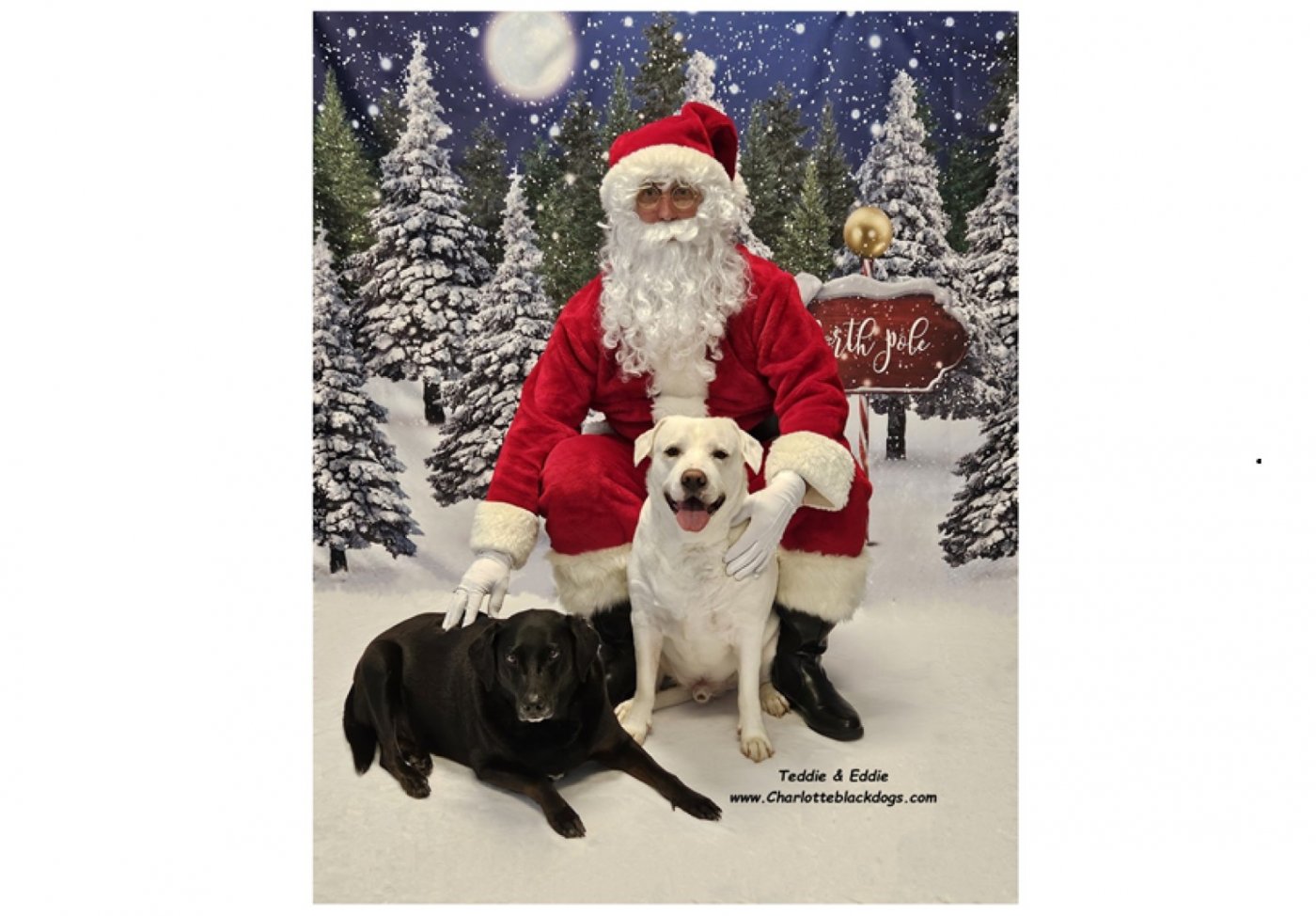 Santa Photo Fundraiser