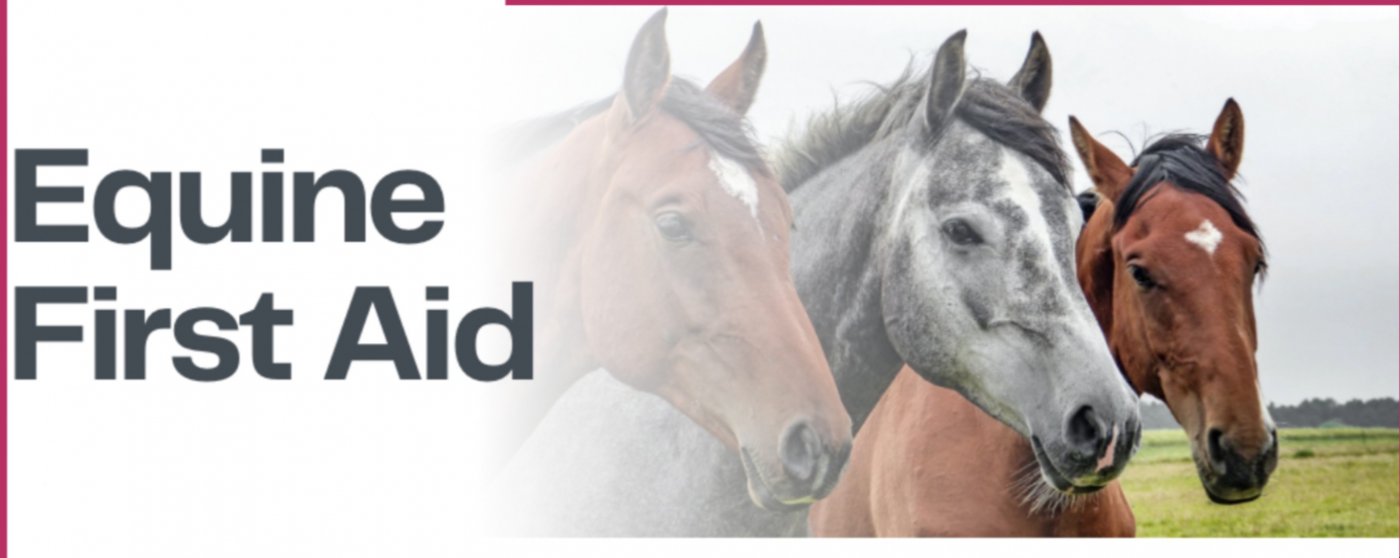 Equine Health & Emergency 1st Aid
