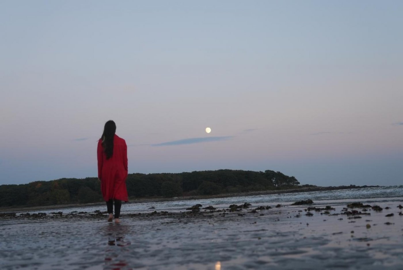 Kaatsbaan Cultural Park Presents Nichole Canuso\u2019s Branching Paths: Lunar Retreat