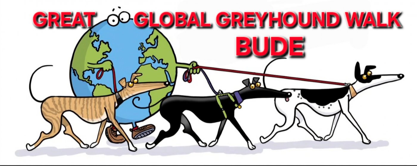 The Great Global Greyhound Walk Bude